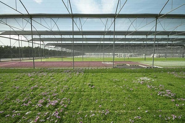 Greenhouses and Shaded Areas - بيوت بلاستيكية ومناطق مظللة