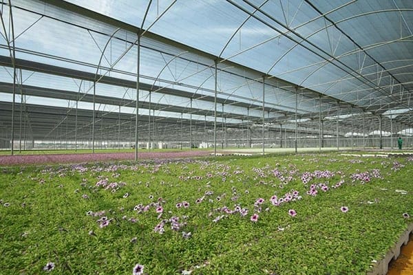 Greenhouses and Shaded Areas - بيوت بلاستيكية ومناطق مظللة