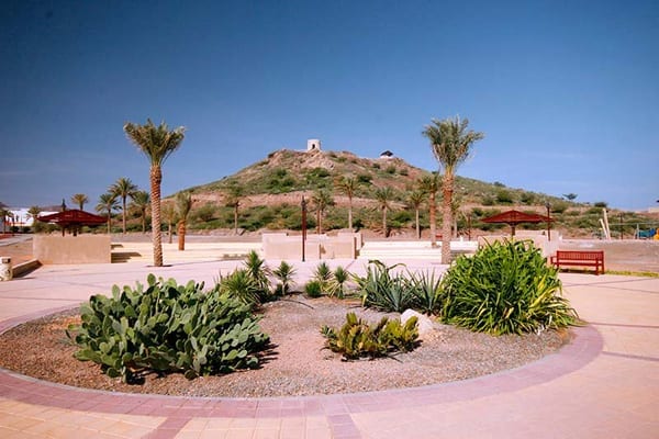 Hatta Hill Park - حديقة التلة في حتا