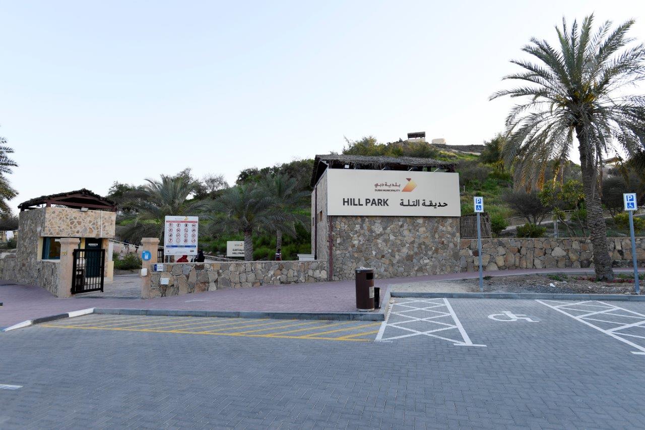 Hatta Hill Park - حديقة التلة في حتا