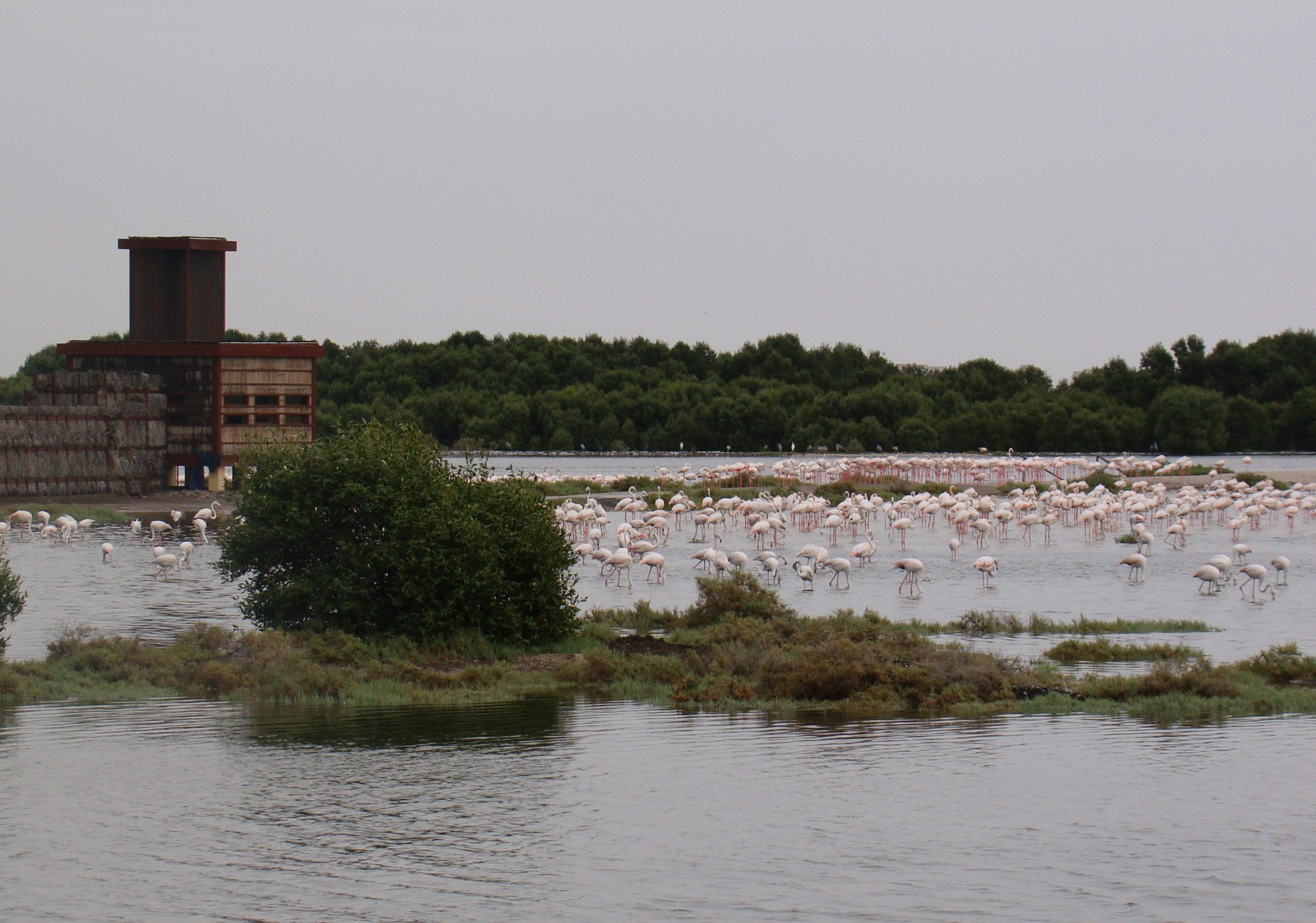 Wildlife Sanctuary - محمية الحياة البرية