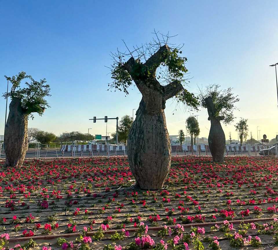 Dubai Municipality undertakes a new agricultural beautification project in the Emirate at the crossroads of Al Meydan and Al Khail