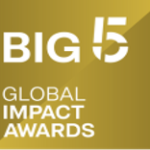 Big 5 Global Impact Awards 2025