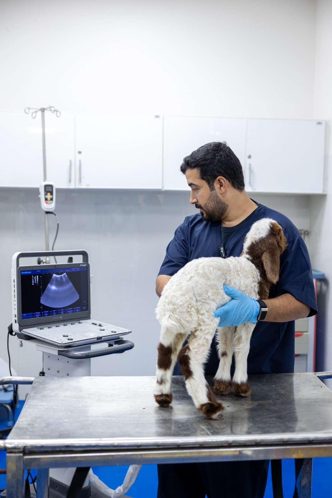 Nearly 183,700 veterinary services delivered in H1 2026