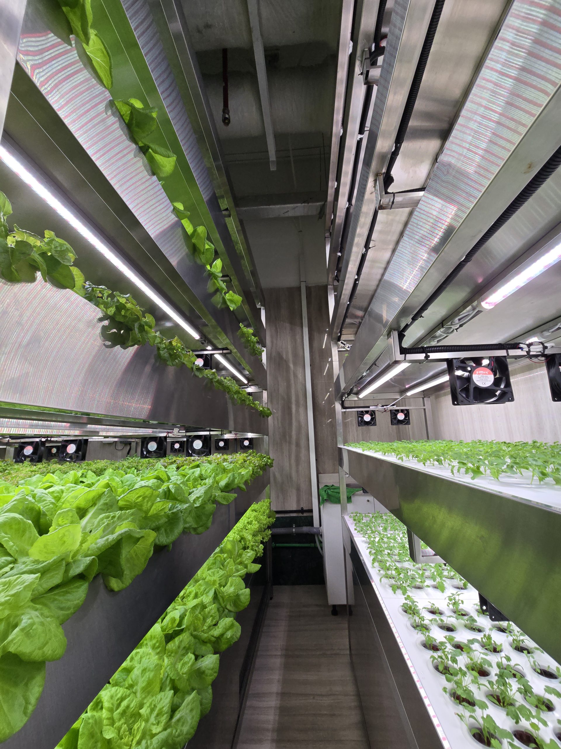 Dubai showcases first residential tower vertical farm