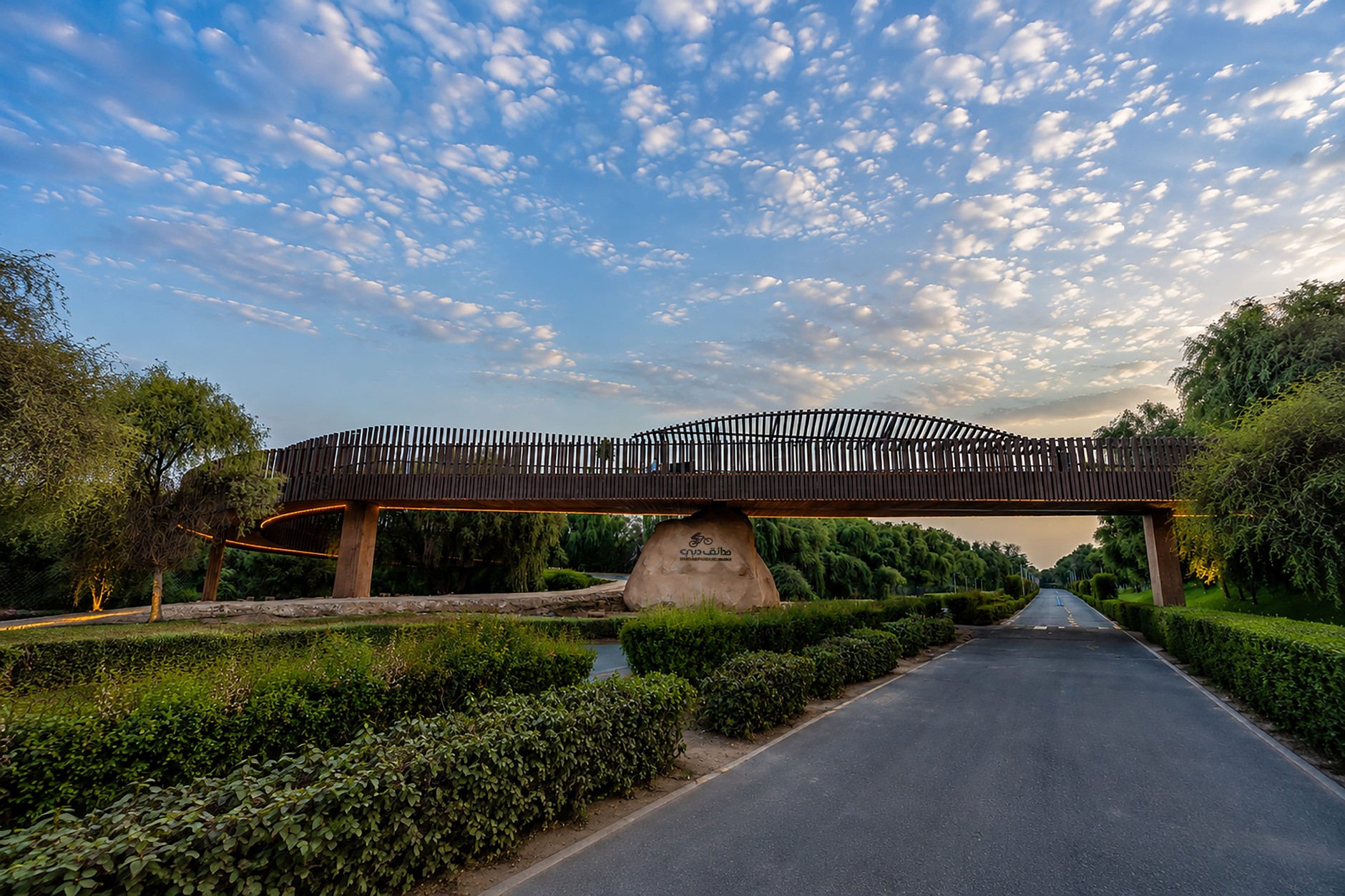New Bridge Opens at Mushrif National Park